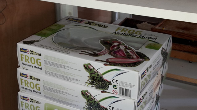 Frosch-Bausätze Frosch-Bausätze